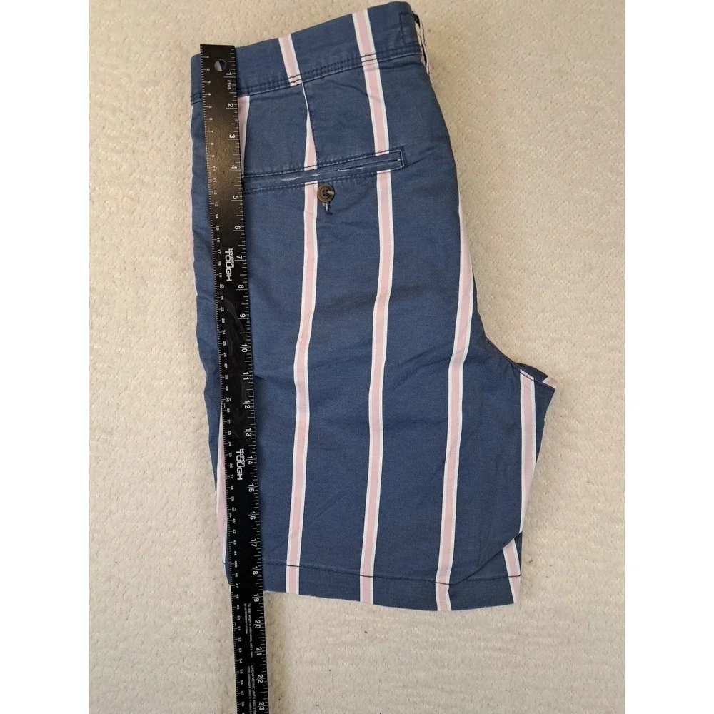 American Eagle Stripied Shorts Mens Size 32 Slim Fit Flat Front‎